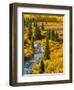 Gunnison National Forest, Colorado, USA-Cathy & Gordon Illg-Framed Photographic Print