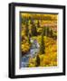 Gunnison National Forest, Colorado, USA-Cathy & Gordon Illg-Framed Photographic Print