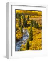 Gunnison National Forest, Colorado, USA-Cathy & Gordon Illg-Framed Photographic Print