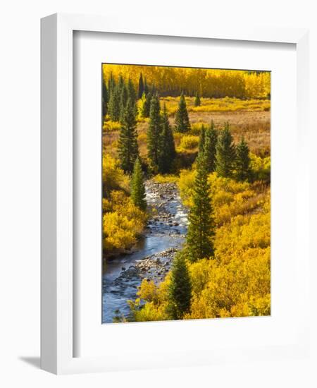 Gunnison National Forest, Colorado, USA-Cathy & Gordon Illg-Framed Photographic Print