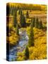 Gunnison National Forest, Colorado, USA-Cathy & Gordon Illg-Stretched Canvas