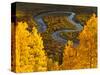 Gunnison National Forest, Colorado, USA-Cathy & Gordon Illg-Stretched Canvas