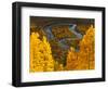 Gunnison National Forest, Colorado, USA-Cathy & Gordon Illg-Framed Photographic Print