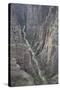 Gunnison River Deep in the Canyon from Kneeling Camel View Point-Richard-Stretched Canvas