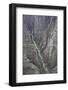 Gunnison River Deep in the Canyon from Kneeling Camel View Point-Richard-Framed Photographic Print