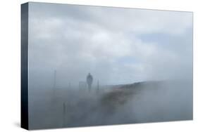 Gunnuhver Hot Spring, Reykjanes Peninsula, Iceland, Polar Regions-Michael-Stretched Canvas