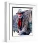 Gunsmoke-null-Framed Photo