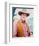 Gunsmoke-null-Framed Photo