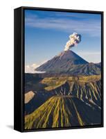 Gunung Bromo Crater, Viewed from Mt. Penanjakan, Bromo Tengger Semeru NP, Java, Indonesia-Michele Falzone-Framed Stretched Canvas