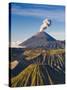 Gunung Bromo Crater, Viewed from Mt. Penanjakan, Bromo Tengger Semeru NP, Java, Indonesia-Michele Falzone-Stretched Canvas