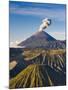 Gunung Bromo Crater, Viewed from Mt. Penanjakan, Bromo Tengger Semeru NP, Java, Indonesia-Michele Falzone-Mounted Photographic Print