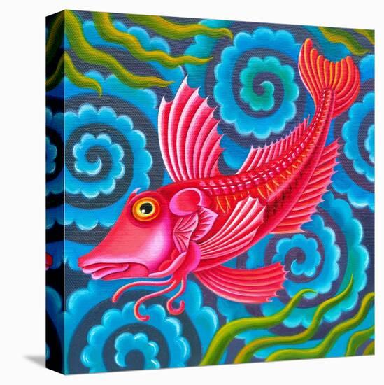 Gurnard fish-Jane Tattersfield-Stretched Canvas