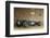 Gurney Eagle racing car 1966-Simon Clay-Framed Photographic Print