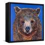 Gus-Melissa Symons-Framed Stretched Canvas