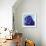 Gus-Dawgart-Framed Giclee Print displayed on a wall