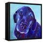Gus-Dawgart-Framed Stretched Canvas