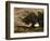 Gust of Wind, 1866-Jean-Baptiste-Camille Corot-Framed Giclee Print