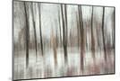 Wood Mount