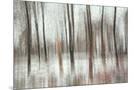 Wood Mount