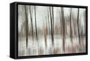 Framed Canvas