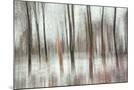 Wood Mount