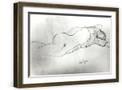 Brown Frame