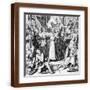 Brown Frame