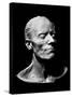 Gustav Mahler's Death Mask, 1911 (Plaster) (B/W Photo)-Austrian-Stretched Canvas