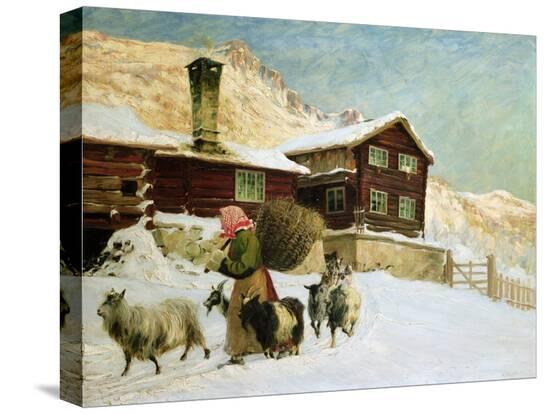 Stretched Canvas Print, , large