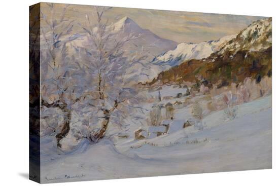 Stretched Canvas Print, , large