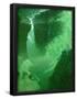 Essential Black