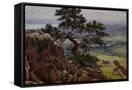 Canvas Black