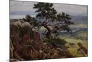Wood Mount