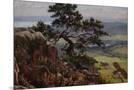 Wood Mount