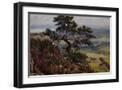 Black Frame