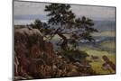 Wood Mount