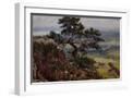 White Frame