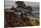Stretched Canvas