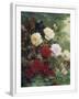 Chelsea White