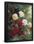 Essential Black