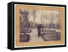 Gustave Caillebotte (1848-94) Gardening at Petit Gennevilliers, February 1892 (B/W Photo)-Martial Caillebotte-Framed Stretched Canvas
