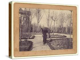 Gustave Caillebotte (1848-94) Gardening at Petit Gennevilliers, February 1892 (B/W Photo)-Martial Caillebotte-Stretched Canvas