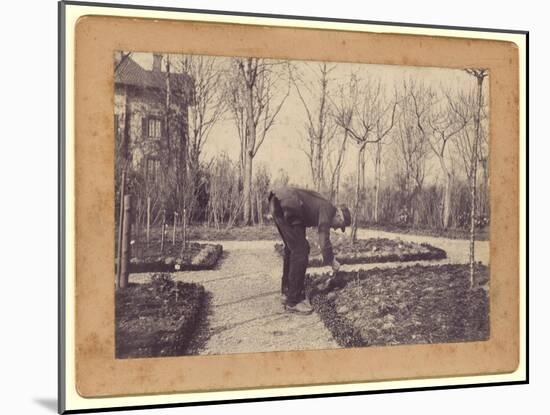 Gustave Caillebotte (1848-94) Gardening at Petit Gennevilliers, February 1892 (B/W Photo)-Martial Caillebotte-Mounted Giclee Print