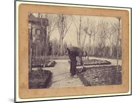 Gustave Caillebotte (1848-94) Gardening at Petit Gennevilliers, February 1892 (B/W Photo)-Martial Caillebotte-Mounted Giclee Print