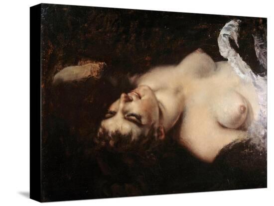 Stretched Canvas Print, , large