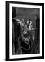 Gustave Dore (Dante's Divine Comedy, Inferno - Flying Beast)-Gustave Doré-Framed Art Print