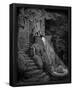 Gustave Doré (Illustration to Perrault "fairytale") Art Poster Print-null-Framed Poster