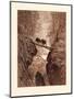 Wood Mount