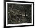Gramercy Black
