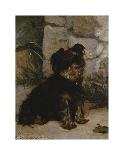 Portrait Of A Yorkshire Terrier-Gustave Giradot-Framed Premium Giclee Print